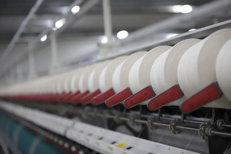 From Pulp to Pushcart: The Wild Ride Your Office Paper Takes Before It Hits Your Desk