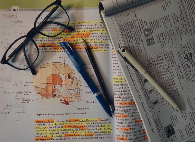 Scribble in the Margins: Why Smart Professionals Are Reading on Paper Again